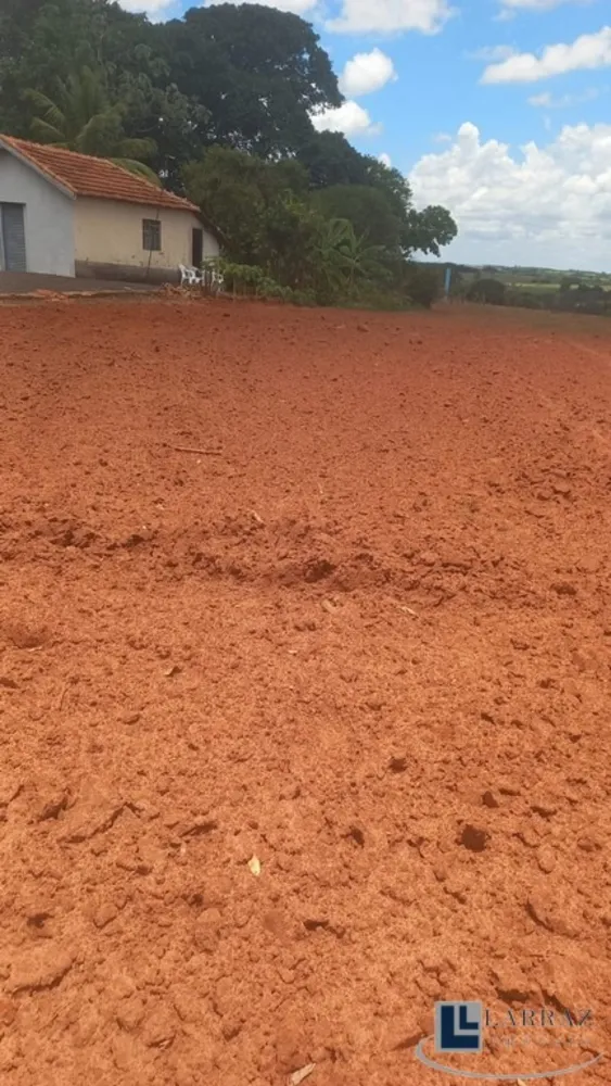 Chácara, 4 quartos, 3000 m² - Foto 5