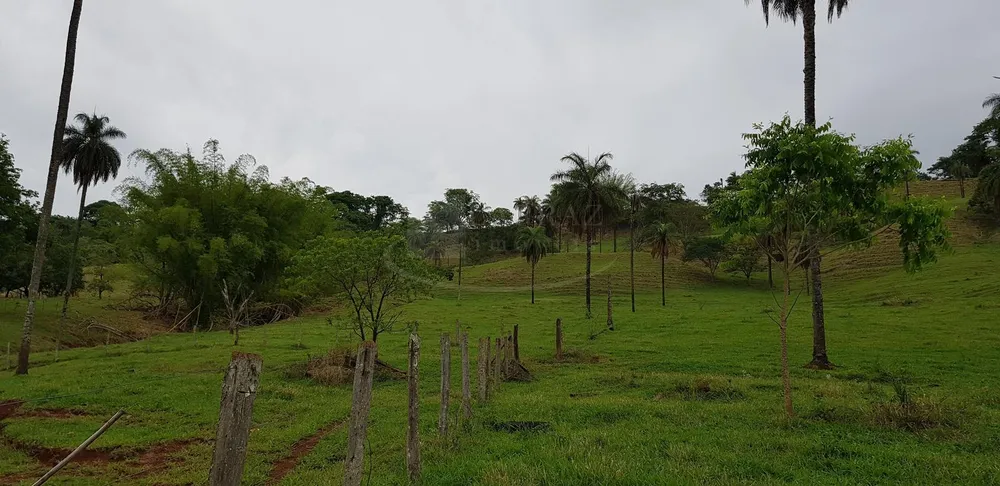 Chácara, 3 quartos - Foto 11