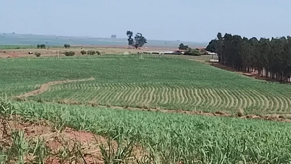 Fazenda, 88 m² - Foto 1