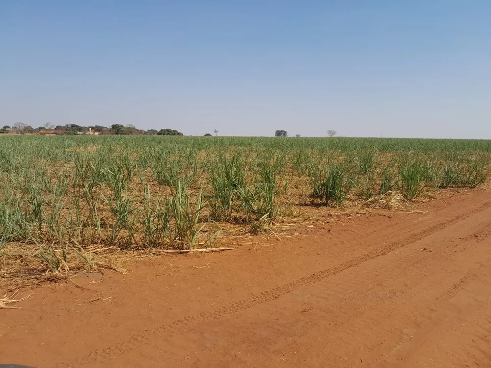 Fazenda, 40 m² - Foto 4