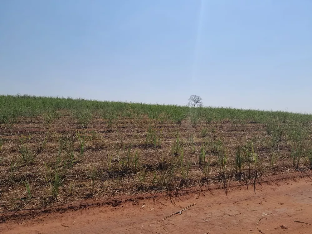Fazenda, 40 m² - Foto 4