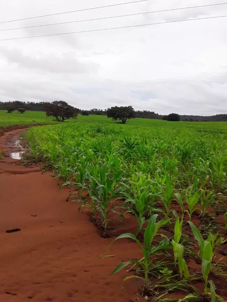 Fazenda, 1012 m² - Foto 3