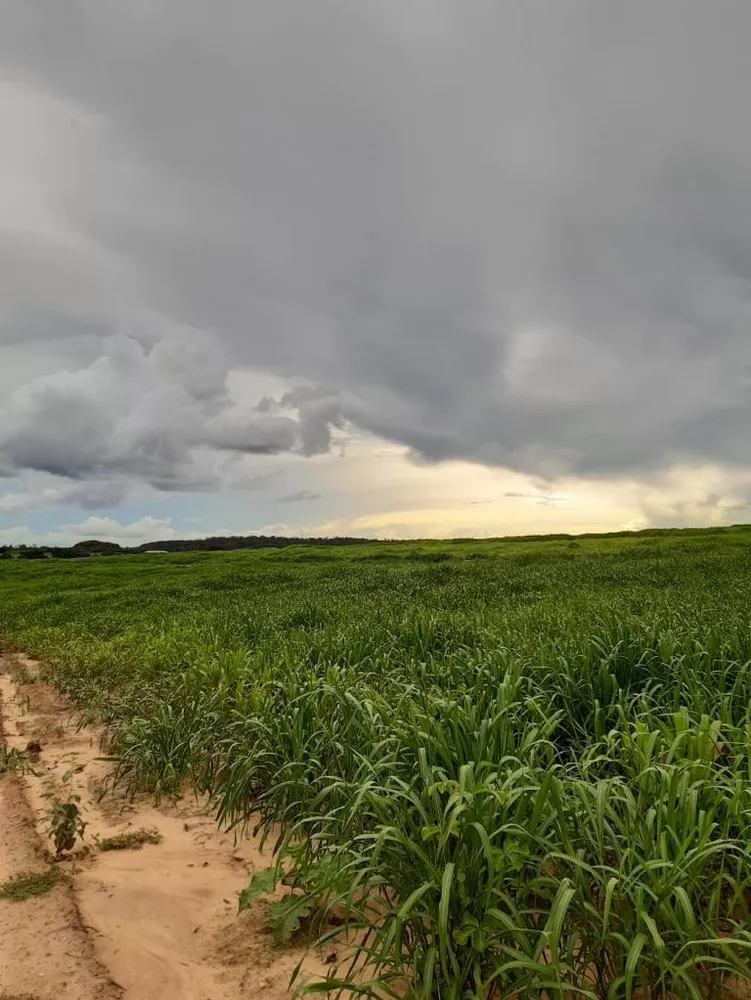 Fazenda, 1012 m² - Foto 2