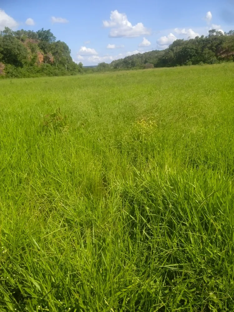 Fazenda, 1012 m² - Foto 9