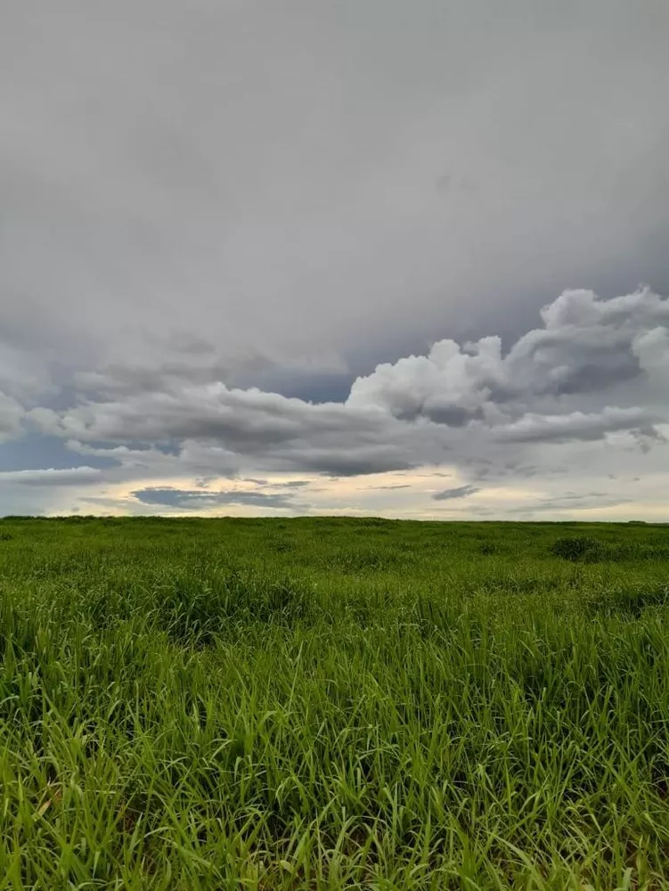 Fazenda, 1012 m² - Foto 1