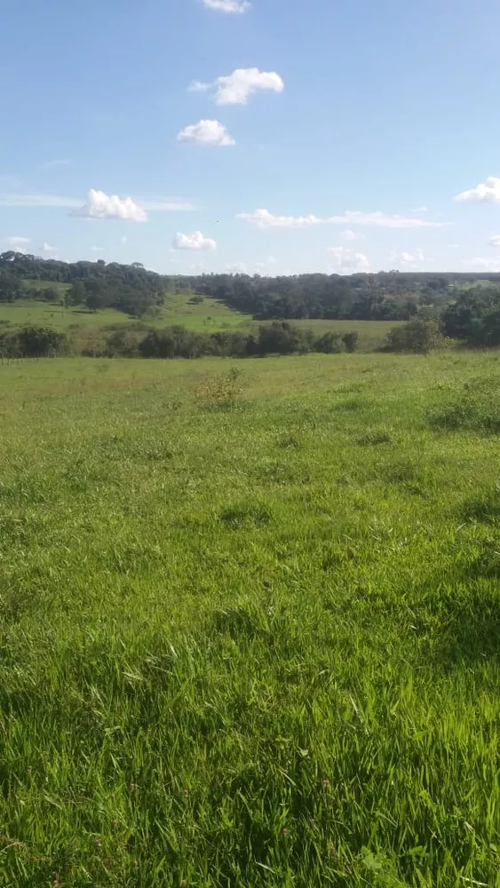 Sítio, 3 m² - Foto 2