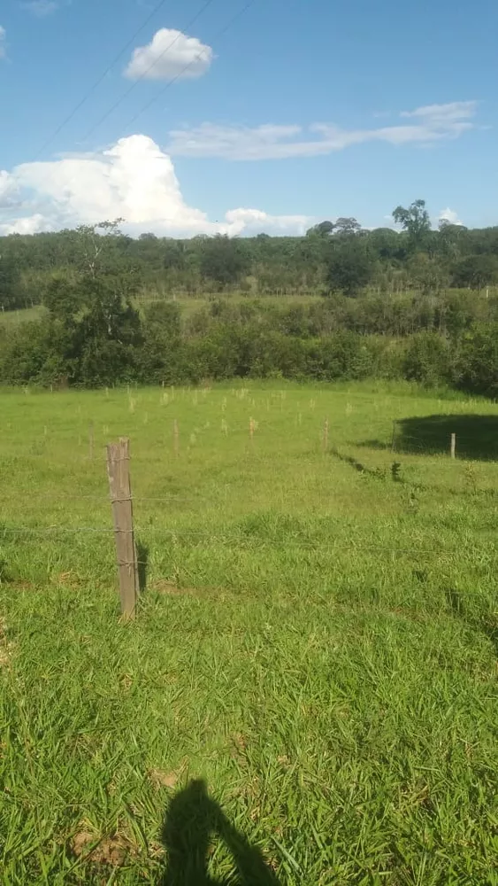 Sítio, 3 m² - Foto 3