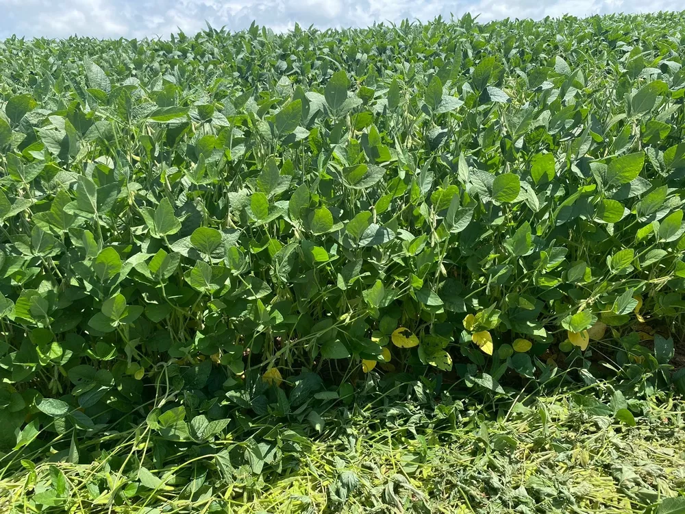 Fazenda, 140 m² - Foto 1