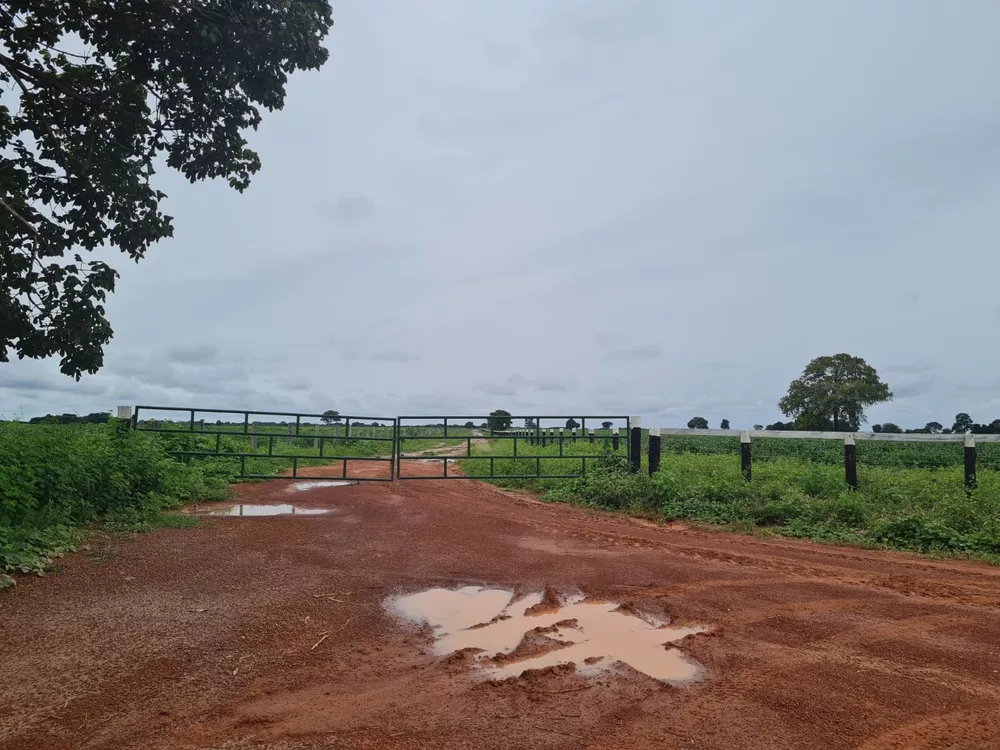 Fazenda, 785 m² - Foto 6