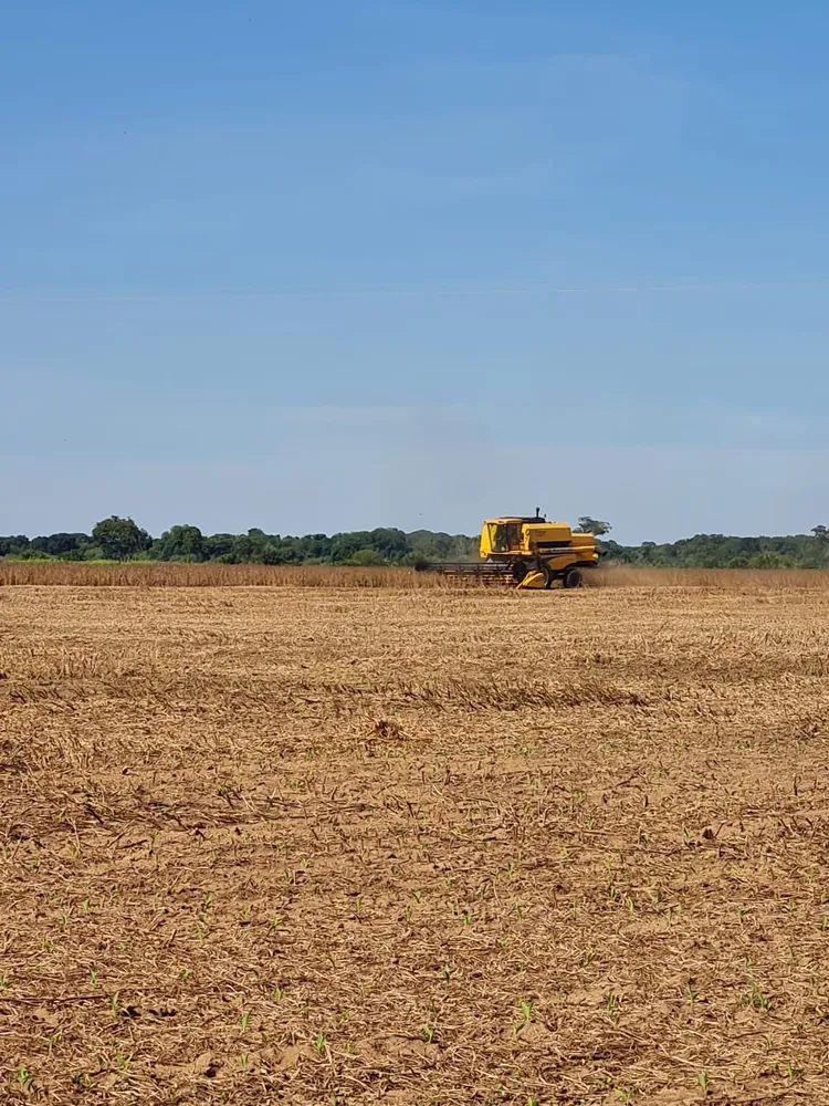 Fazenda, 785 m² - Foto 3