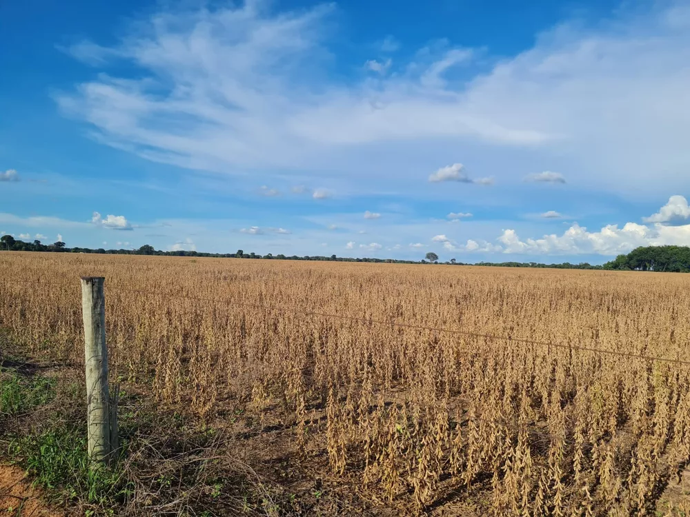 Fazenda, 785 m² - Foto 8