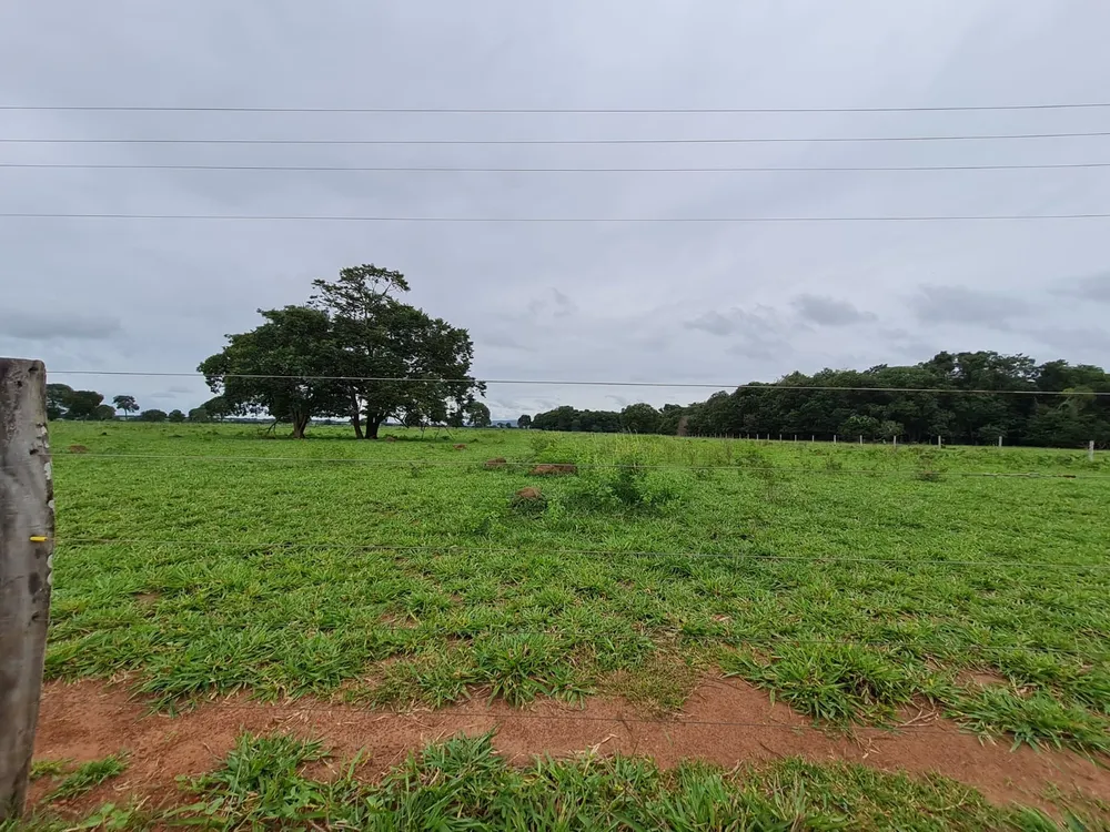 Fazenda, 785 m² - Foto 2