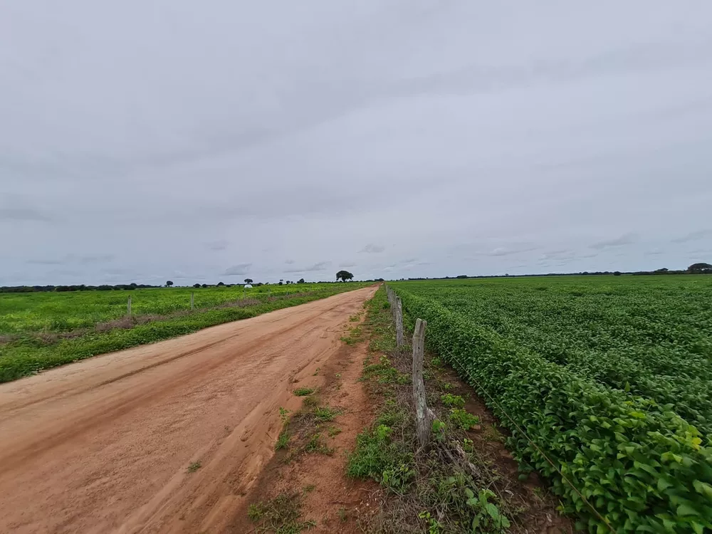 Fazenda, 785 m² - Foto 7