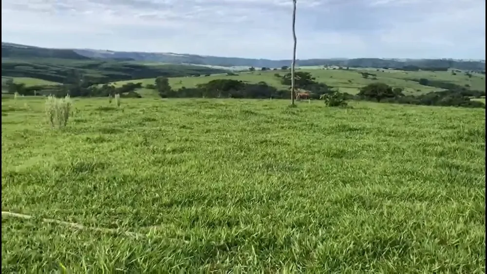 Fazenda, 225 m² - Foto 3