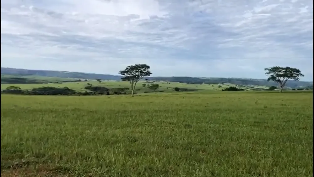 Fazenda, 225 m² - Foto 8
