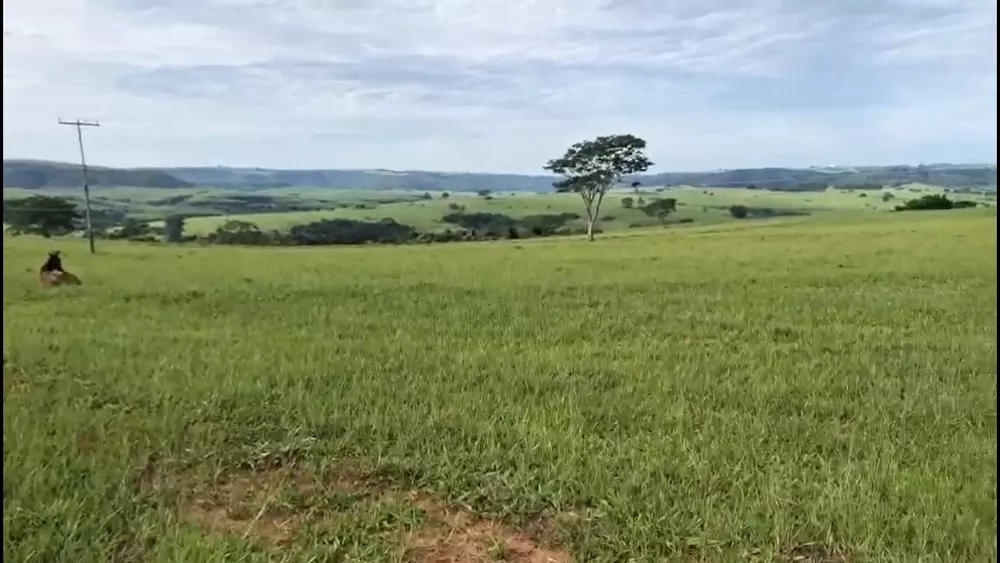 Fazenda, 225 m² - Foto 4