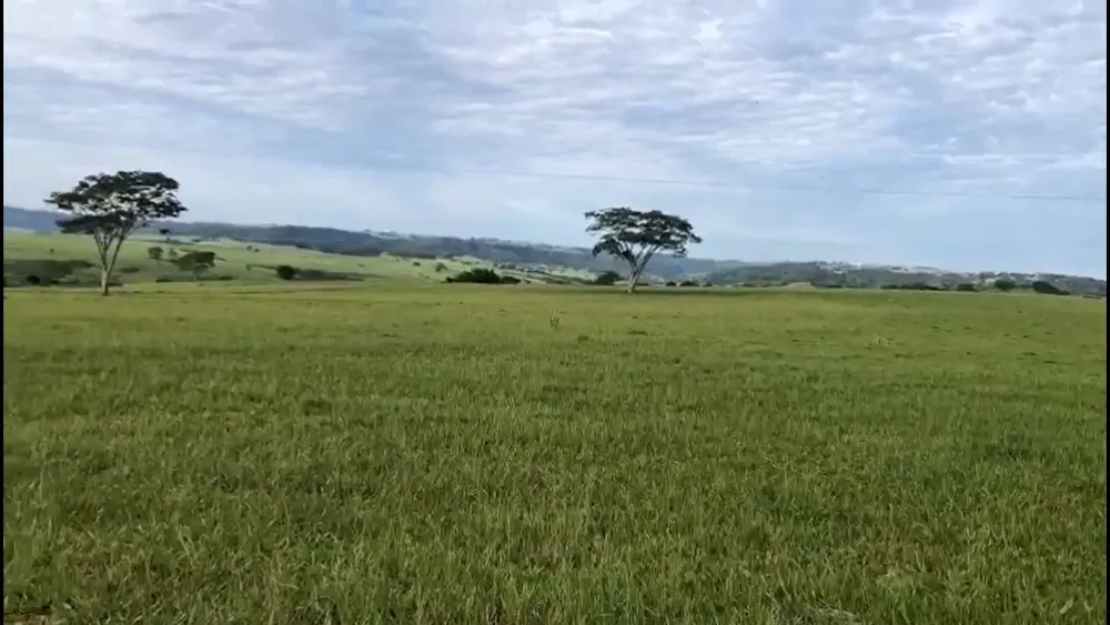 Fazenda, 225 m² - Foto 7