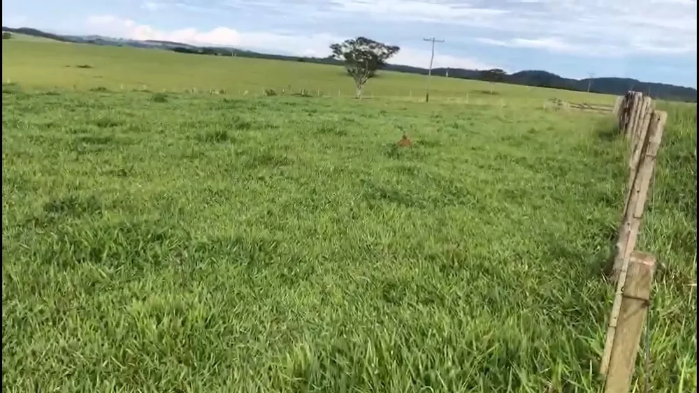 Fazenda, 225 m² - Foto 3