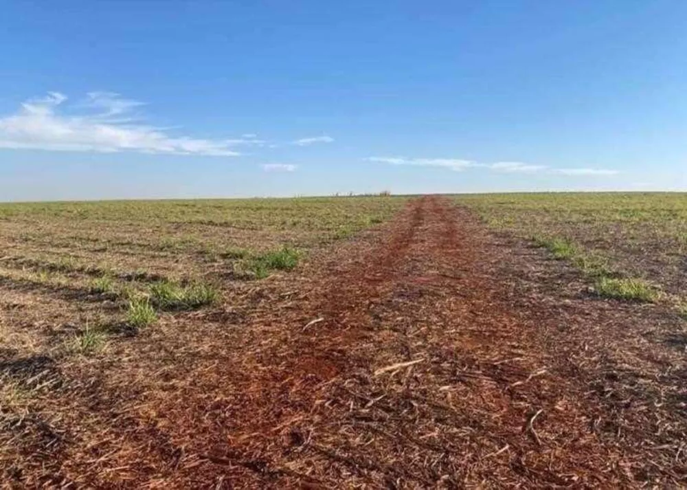 Fazenda, 998 m² - Foto 1