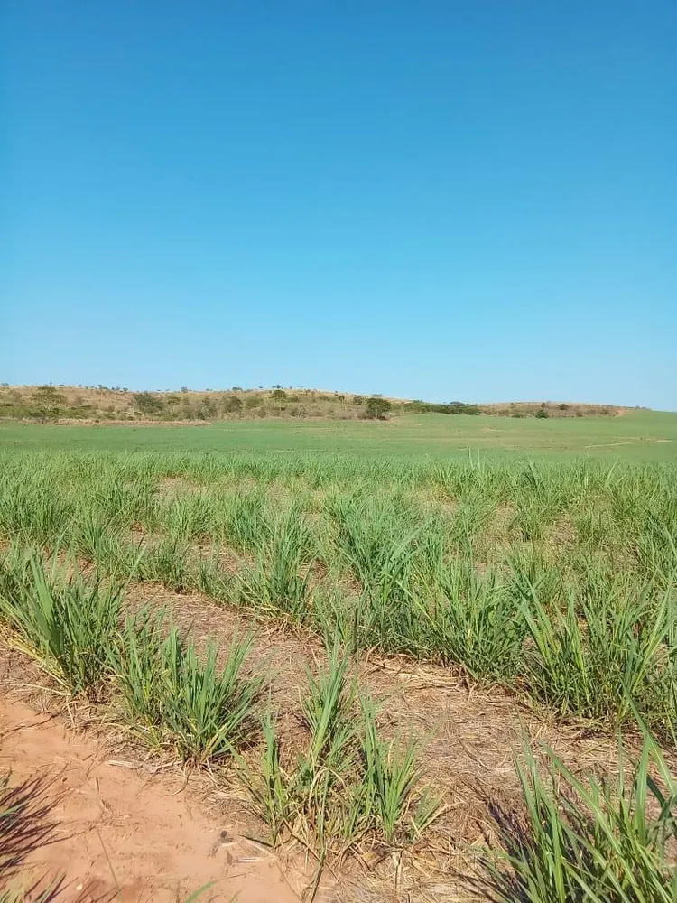 Fazenda, 169 m² - Foto 3
