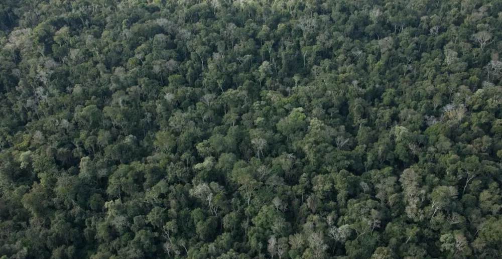 Sítio, 12 m² - Foto 2