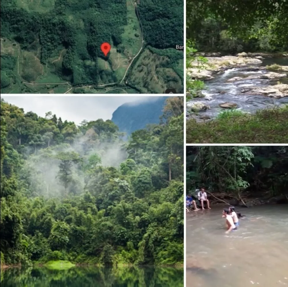 Sítio, 12 m² - Foto 3