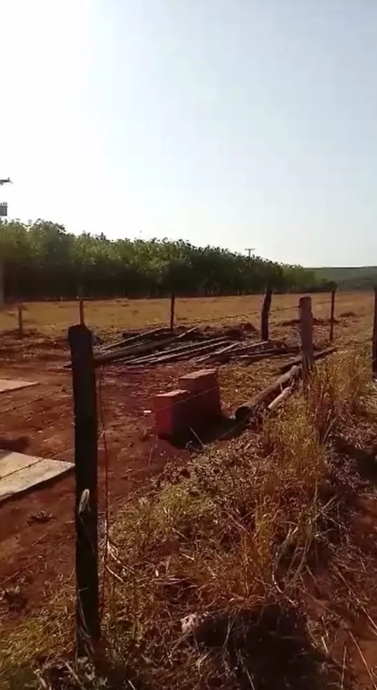 Sítio, 20 m² - Foto 1