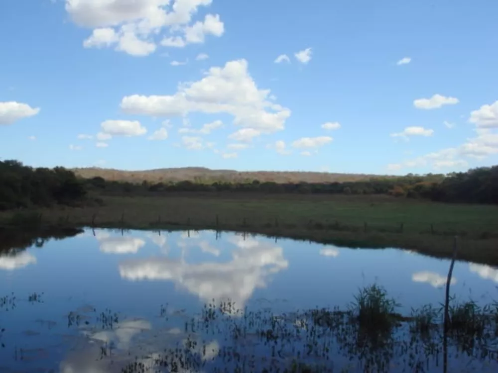 Fazenda, 6983 m² - Foto 2