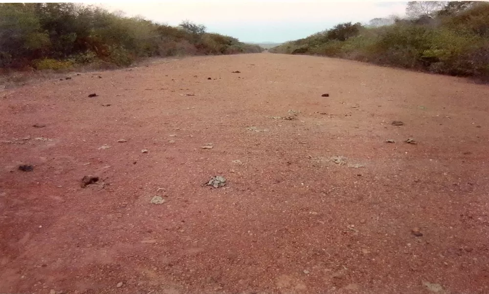 Fazenda, 6983 m² - Foto 3