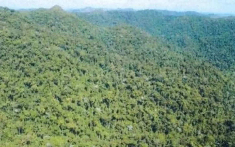 Fazenda, 46 m² - Foto 1