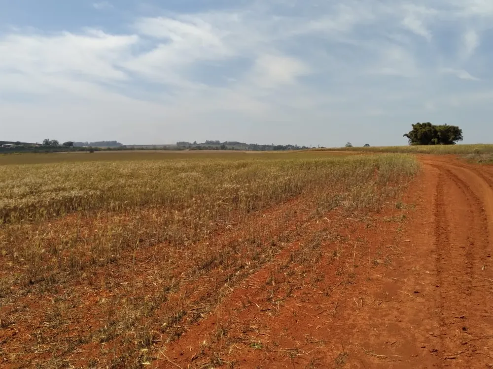 Fazenda, 108 m² - Foto 6