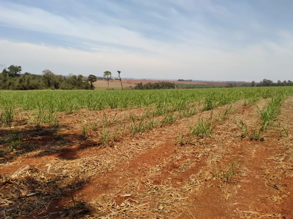 Fazenda, 108 m² - Foto 5