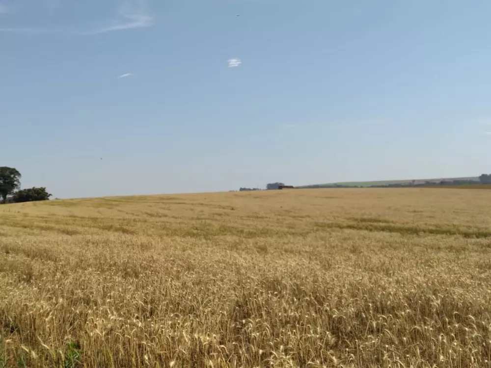 Fazenda, 108 m² - Foto 2