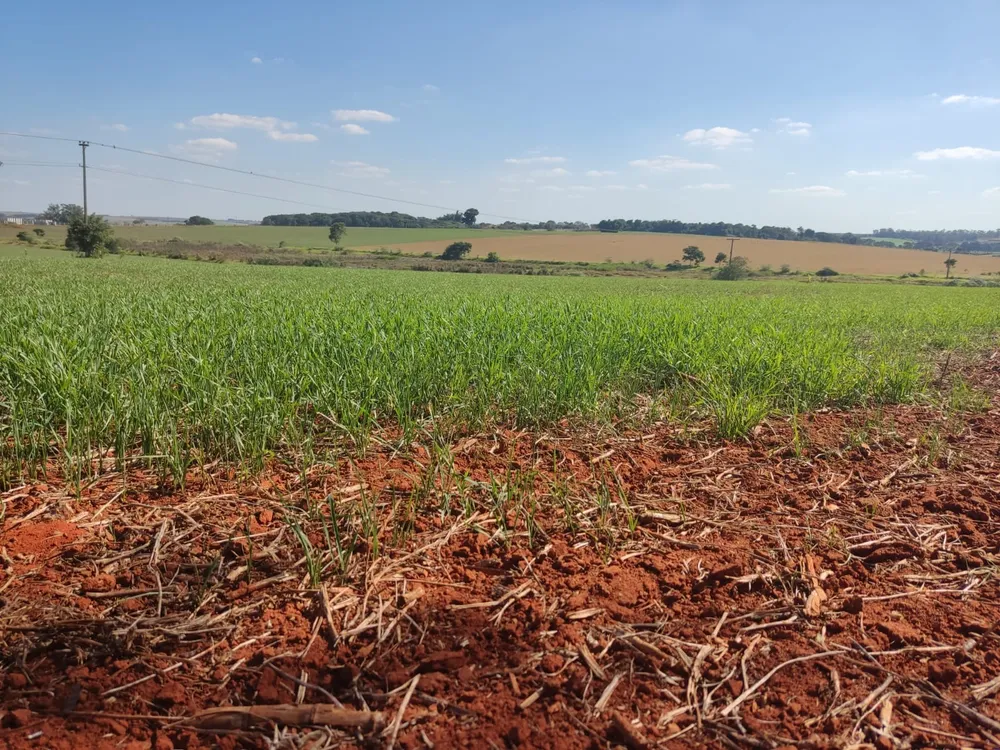 Fazenda, 108 m² - Foto 10