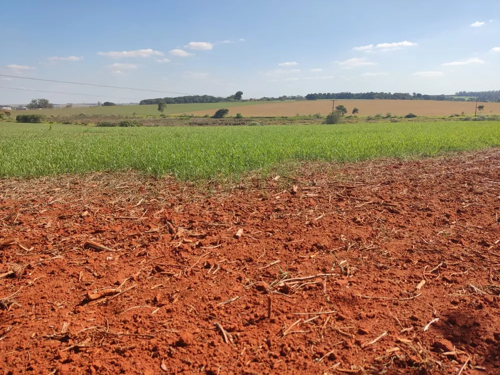 Fazenda, 108 m² - Foto 4