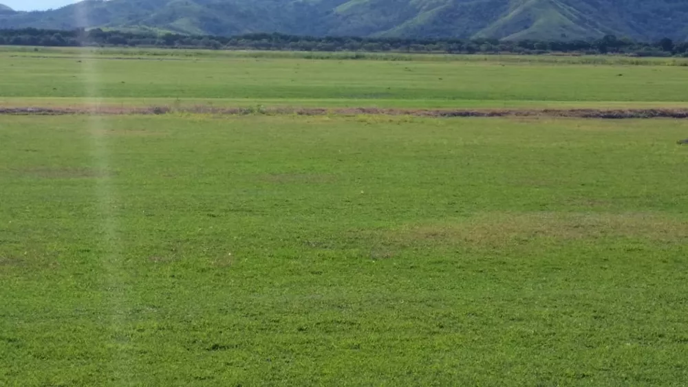 Fazenda, 99 m² - Foto 1