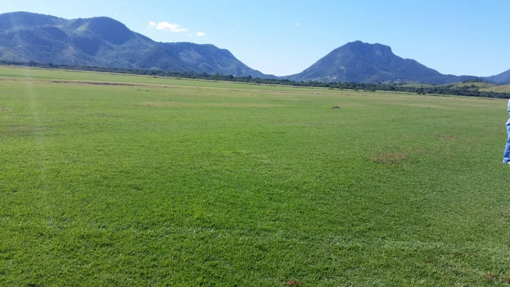 Fazenda, 99 m² - Foto 2