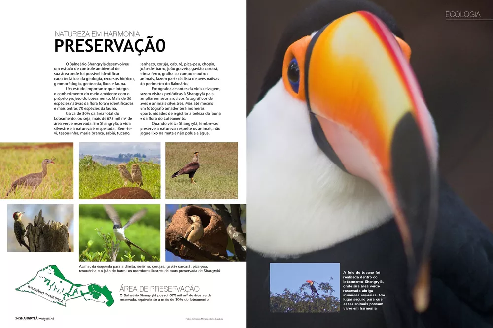 Terreno, 700 m² - Foto 3