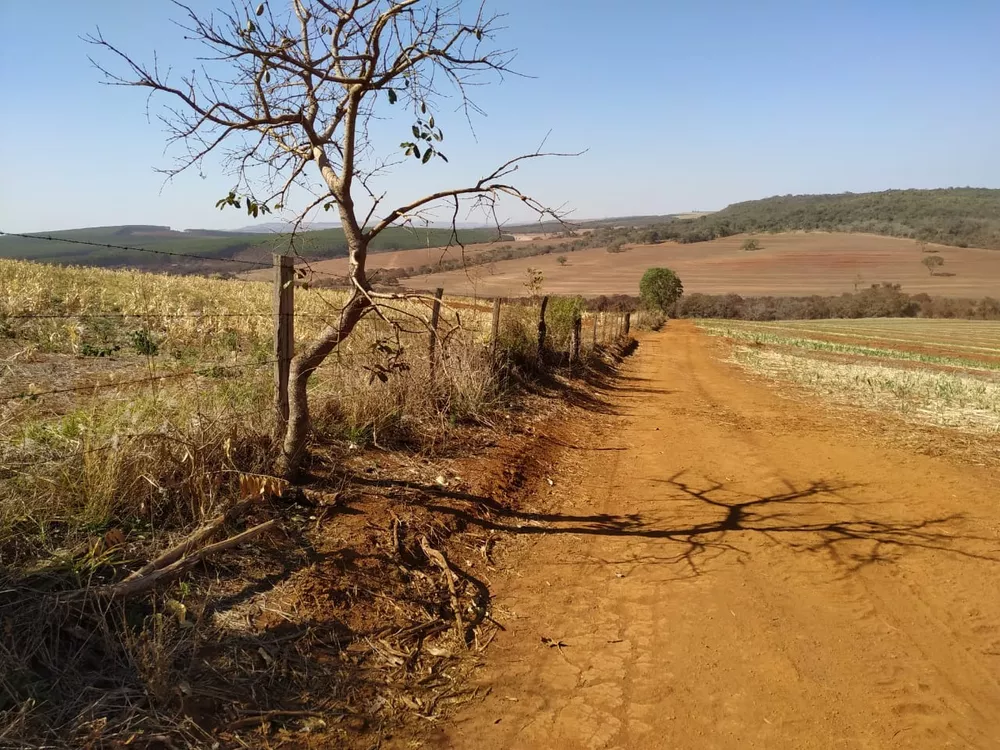 Sítio, 10 m² - Foto 4