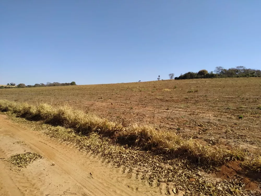 Sítio, 10 m² - Foto 1