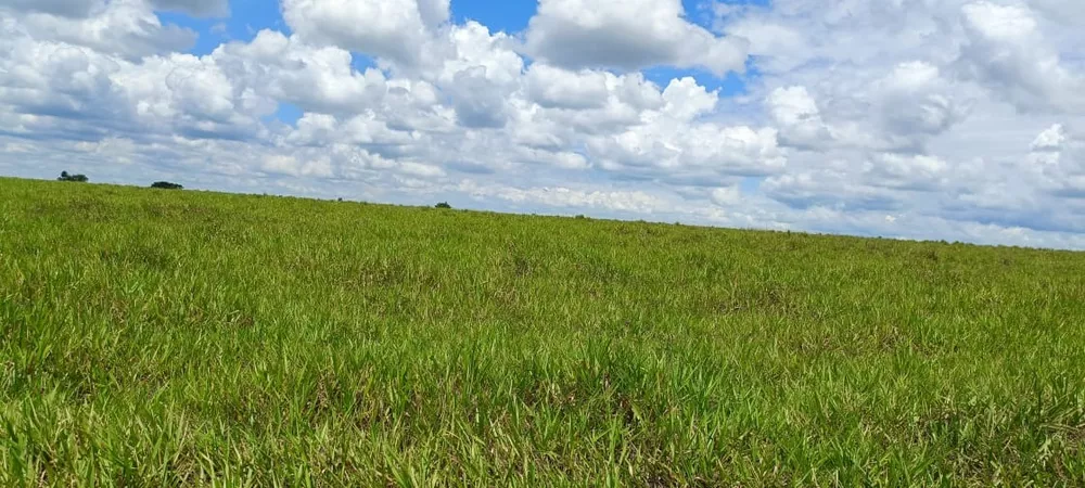 Fazenda, 77 m² - Foto 1