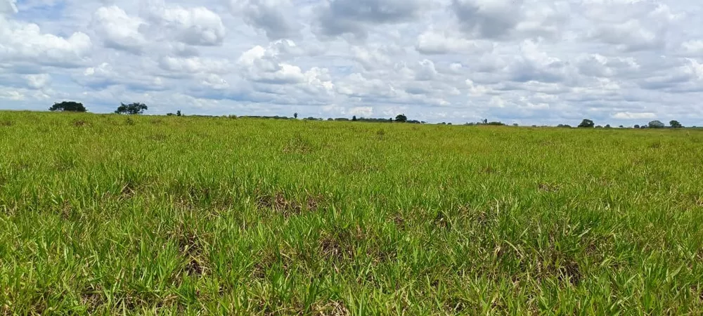 Fazenda, 77 m² - Foto 2