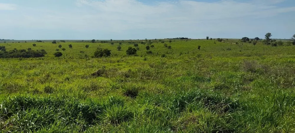 Fazenda, 342 m² - Foto 1