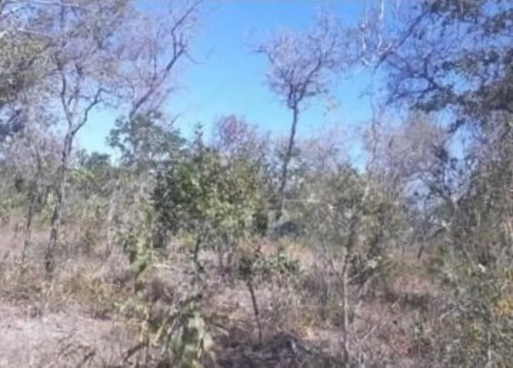 Fazenda, 1033 m² - Foto 2