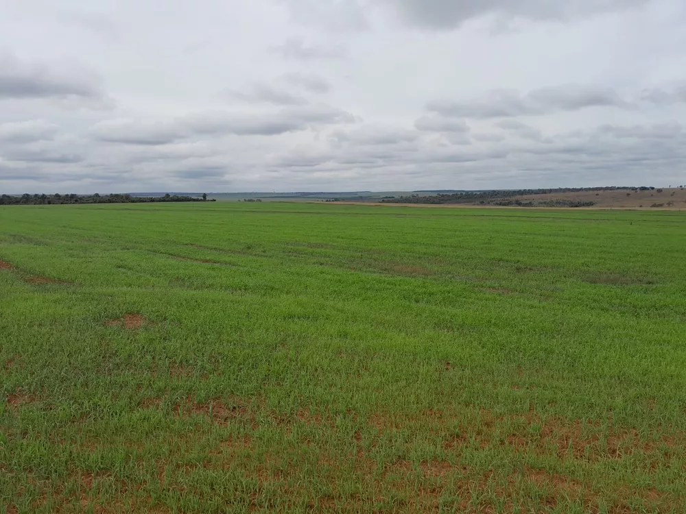 Fazenda, 62 m² - Foto 1