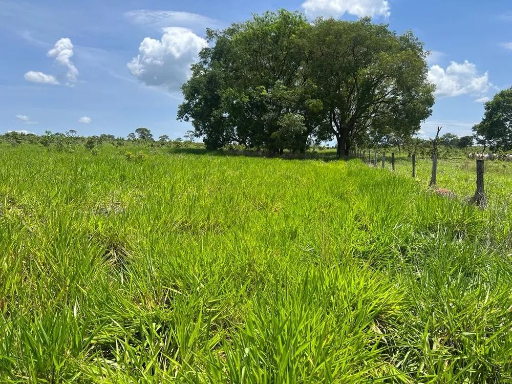 Fazenda, 163 m² - Foto 1