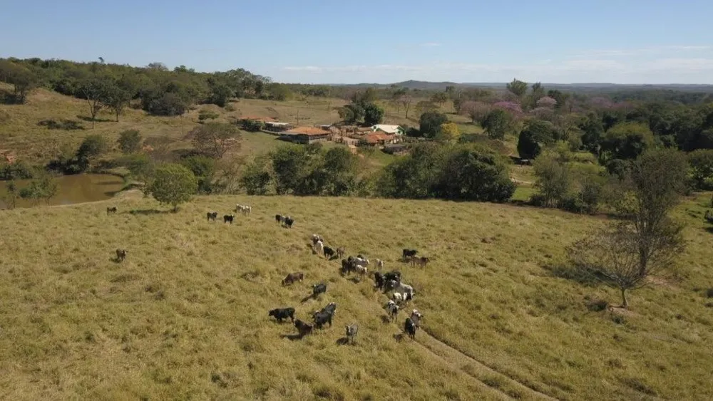 Fazenda, 221 m² - Foto 16