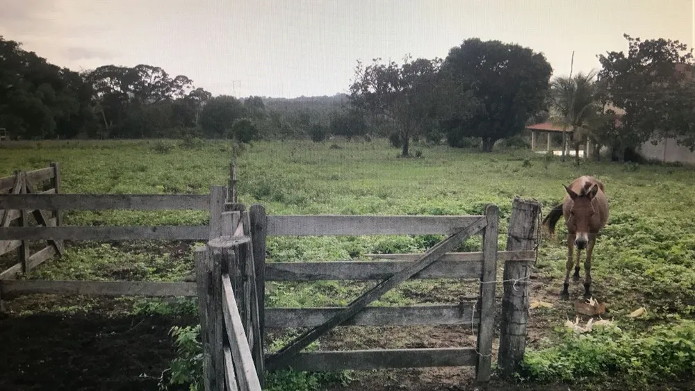 Fazenda, 1859 m² - Foto 14