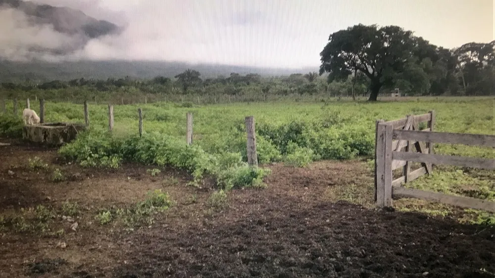 Fazenda, 1859 m² - Foto 6