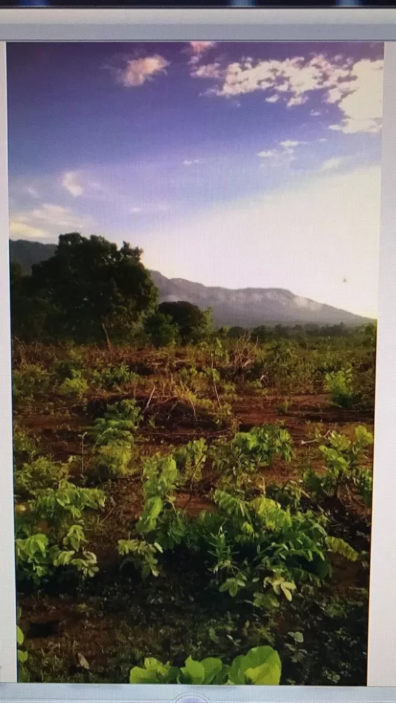 Fazenda, 1859 m² - Foto 2